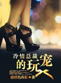 冷情总裁极致宠