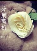 分崩离析的成语解释