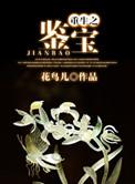 重生之鉴宝捡漏王2短剧在线观看