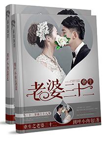 重生之老婆32