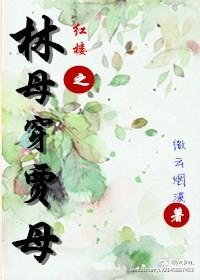 红楼之林母穿贾母TXT
