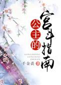 公主宫斗记录