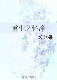 重生之怀净TXT百度